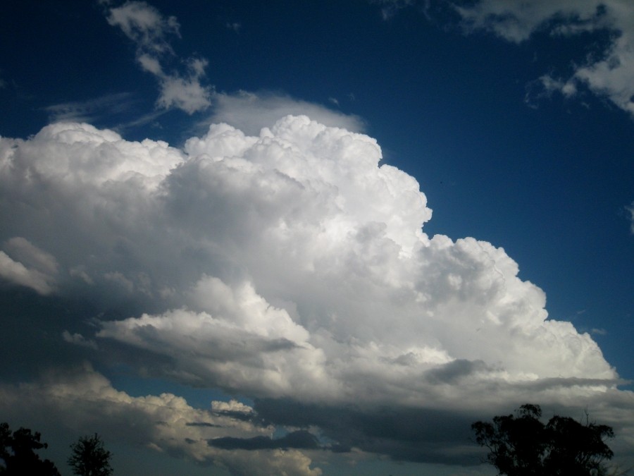 thunderstorm cumulonimbus_calvus : between Scone and Merriwa, NSW   5 October 2008