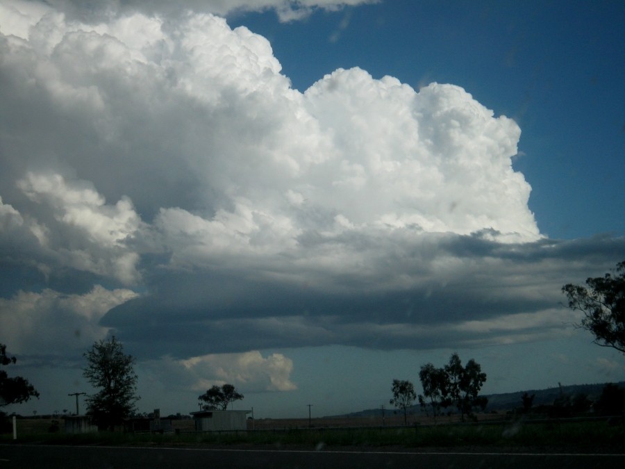 updraft thunderstorm_updrafts : between Scone and Merriwa, NSW   5 October 2008