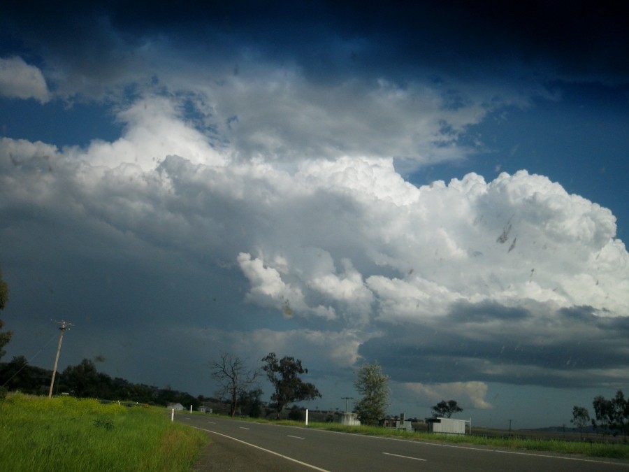 thunderstorm cumulonimbus_calvus : between Scone and Merriwa, NSW   5 October 2008