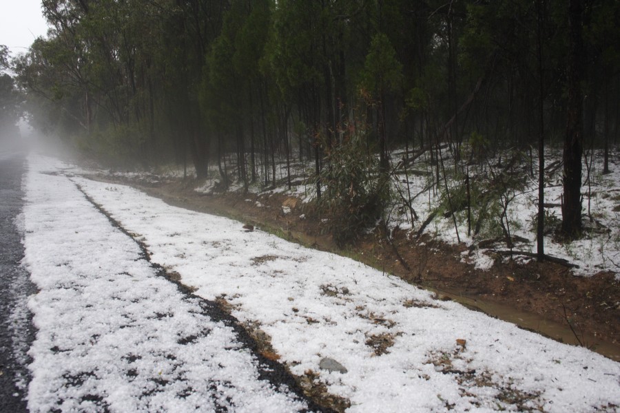 hailstones hail_stones : NE of Mudgee, NSW   10 October 2008