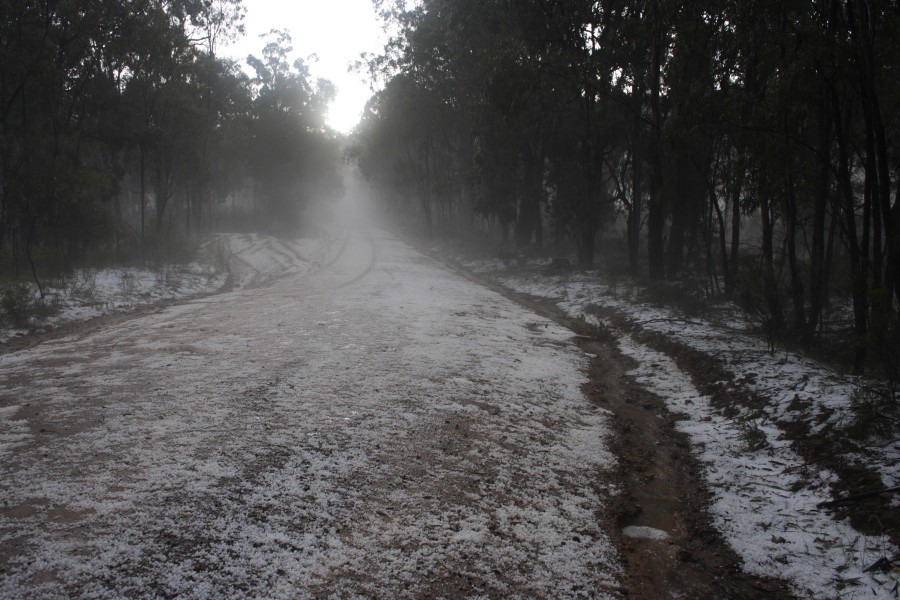 hailstones hail_stones : NE of Mudgee, NSW   10 October 2008