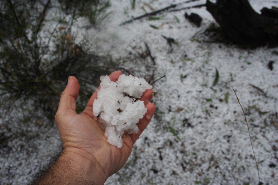 hailstones hail_stones : NE of Mudgee, NSW   10 October 2008