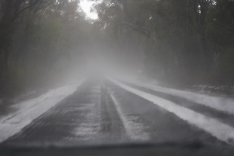 fogmist fog_mist_frost : NE of Mudgee, NSW   10 October 2008