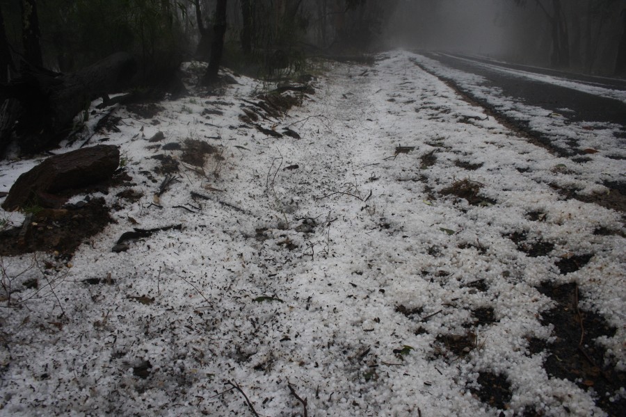 hailstones hail_stones : NE of Mudgee, NSW   10 October 2008