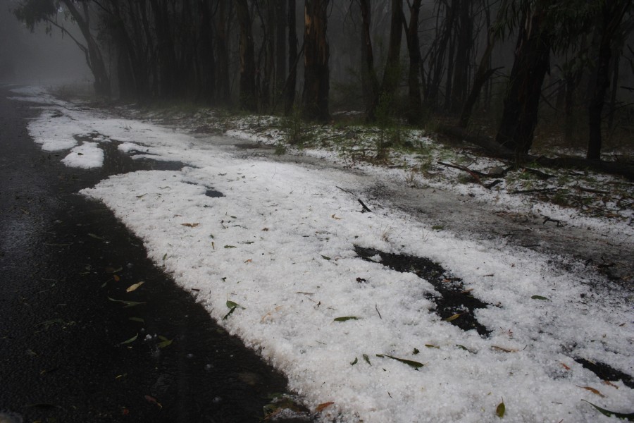hailstones hail_stones : NE of Mudgee, NSW   10 October 2008
