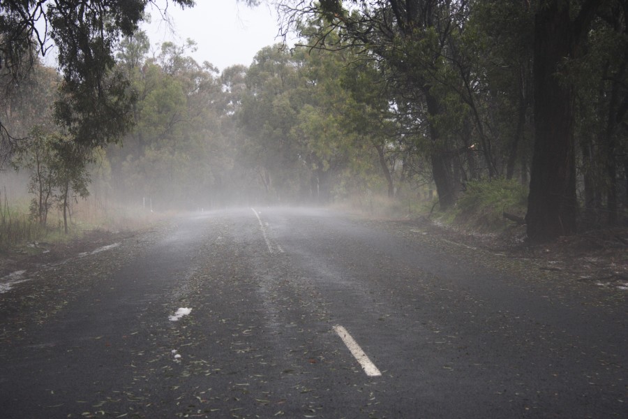 hailstones hail_stones : NE of Mudgee, NSW   10 October 2008