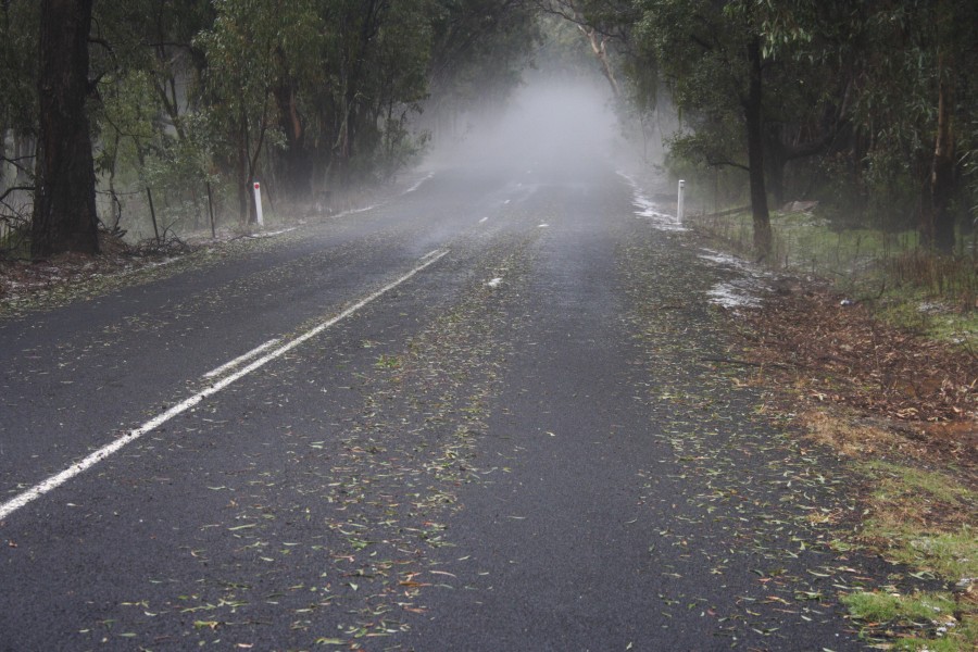 hailstones hail_stones : NE of Mudgee, NSW   10 October 2008