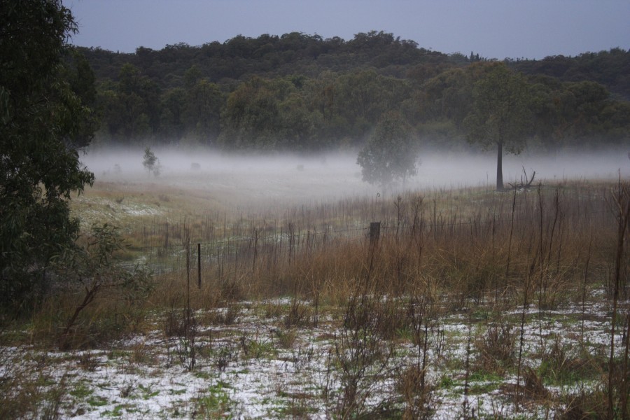 hailstones hail_stones : NE of Mudgee, NSW   10 October 2008