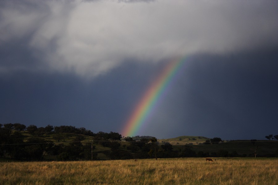 rainbow rainbow_pictures : E of Coolah, NSW   10 October 2008