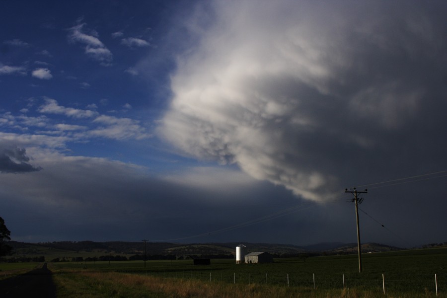 mammatus mammatus_cloud : E of Coolah, NSW   10 October 2008