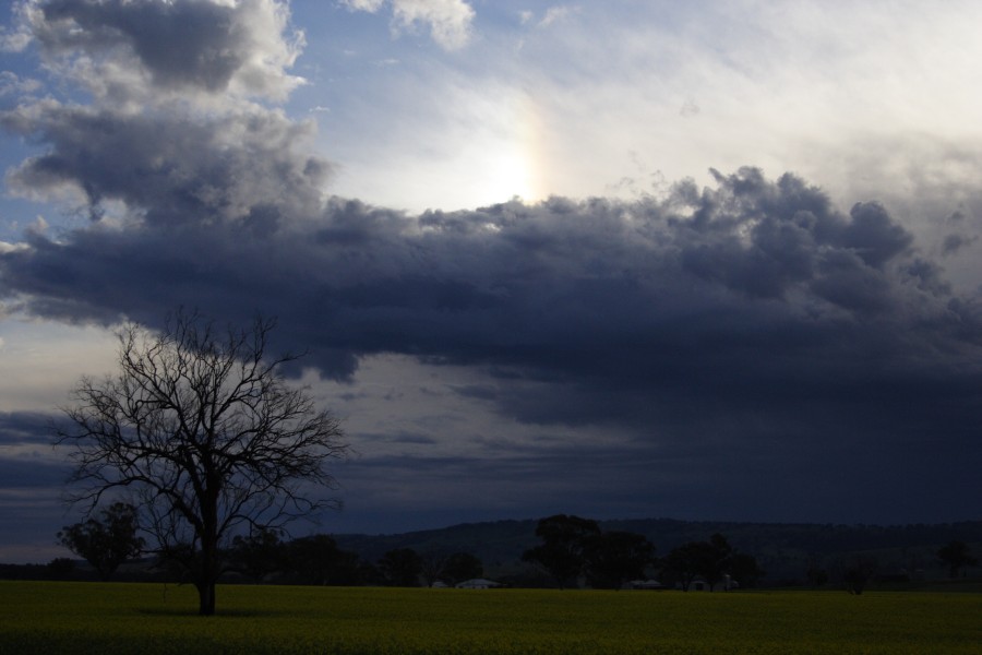 halosundog halo_sundog_crepuscular_rays : Coolah, NSW   10 October 2008