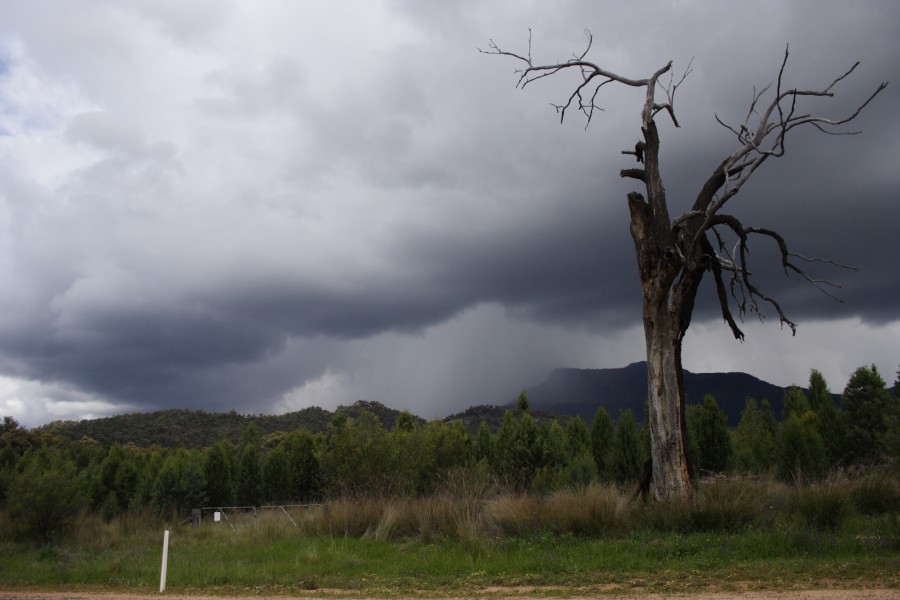 raincascade precipitation_cascade : Coonabarabran, NSW   11 October 2008