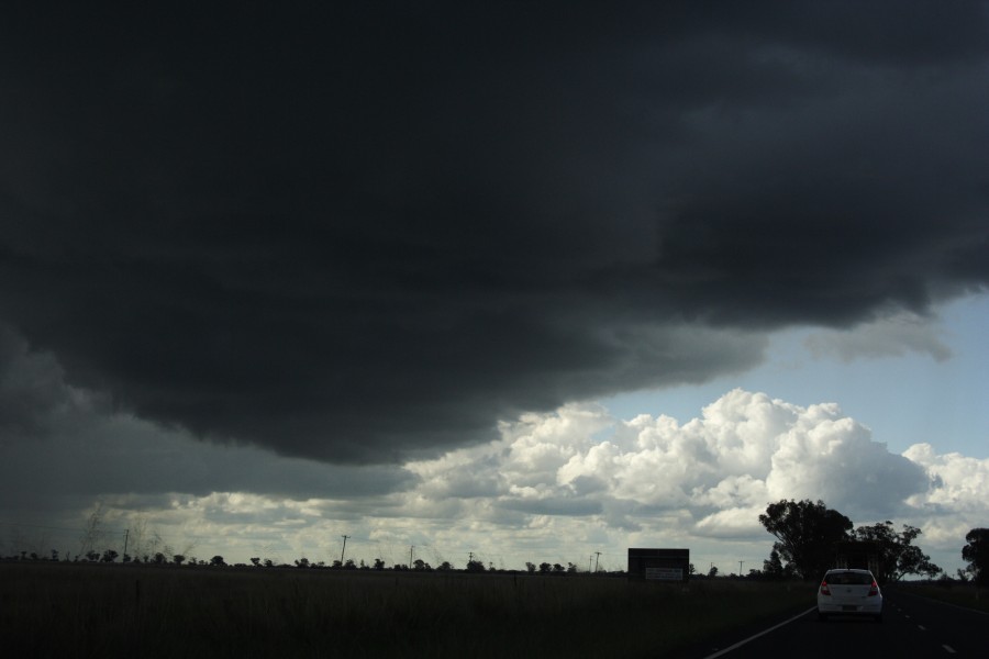cumulonimbus thunderstorm_base : near Gilgandra, NSW   11 October 2008