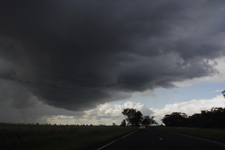 cumulonimbus thunderstorm_base : near Gilgandra, NSW   11 October 2008