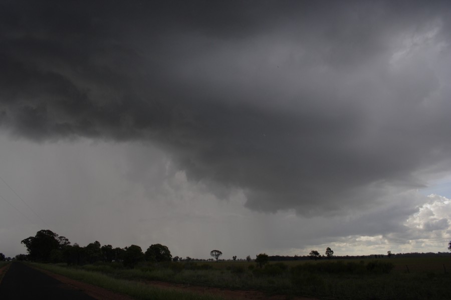 cumulonimbus thunderstorm_base : near Gilgandra, NSW   11 October 2008