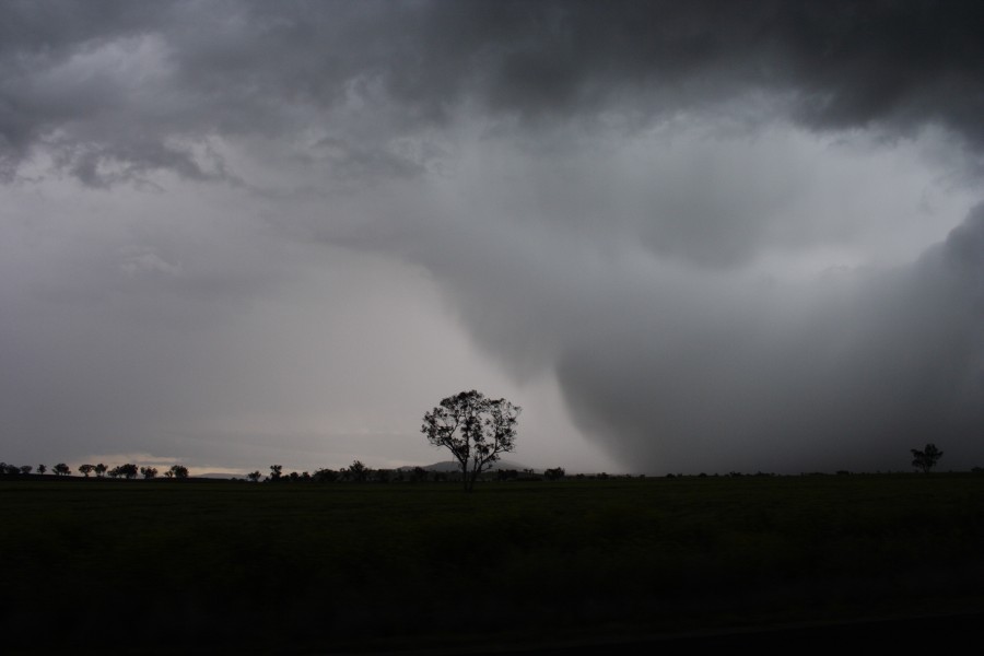 raincascade precipitation_cascade : E of Gunnedah, NSW   14 October 2008