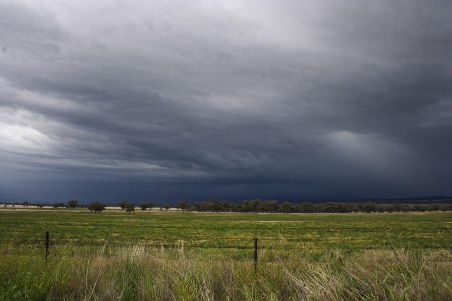 cumulonimbus thunderstorm_base : W of Manilla, NSW   14 October 2008