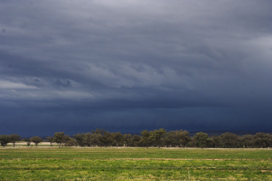 cumulonimbus thunderstorm_base : W of Manilla, NSW   14 October 2008