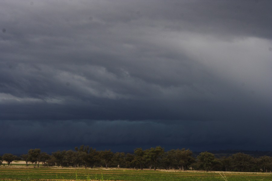 cumulonimbus thunderstorm_base : W of Manilla, NSW   14 October 2008