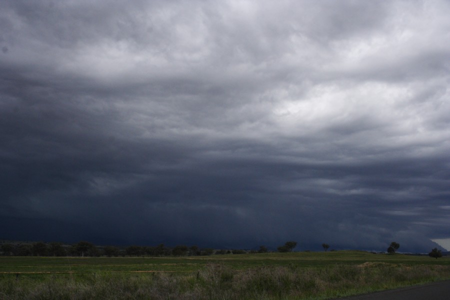 cumulonimbus thunderstorm_base : W of Manilla, NSW   14 October 2008