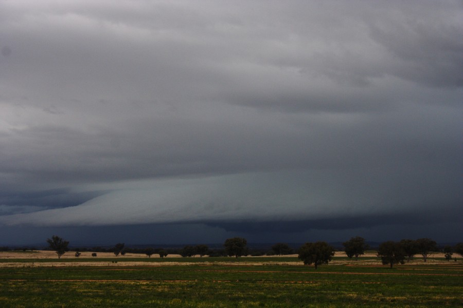 cumulonimbus thunderstorm_base : W of Manilla, NSW   14 October 2008