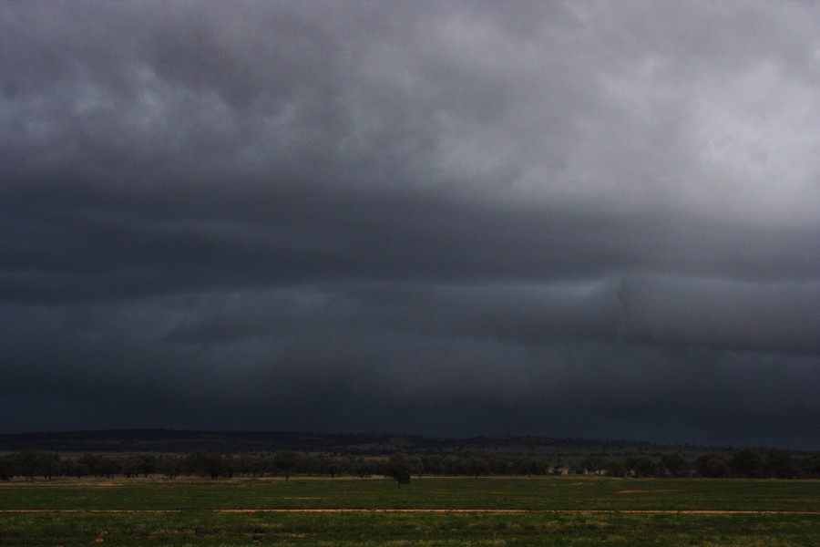 cumulonimbus thunderstorm_base : W of Manilla, NSW   14 October 2008