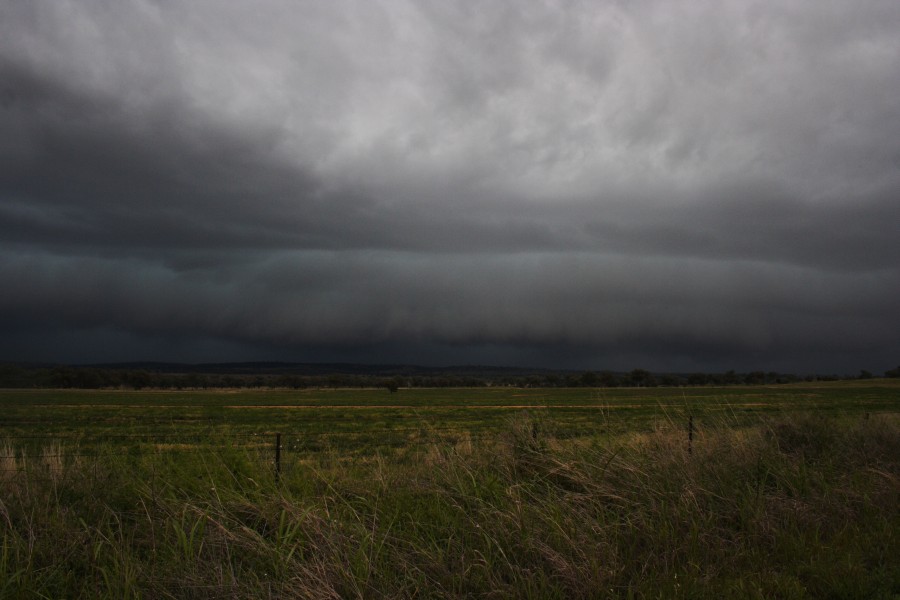 cumulonimbus thunderstorm_base : W of Manilla, NSW   14 October 2008