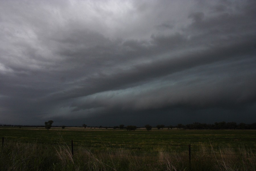 shelfcloud shelf_cloud : W of Manilla, NSW   14 October 2008