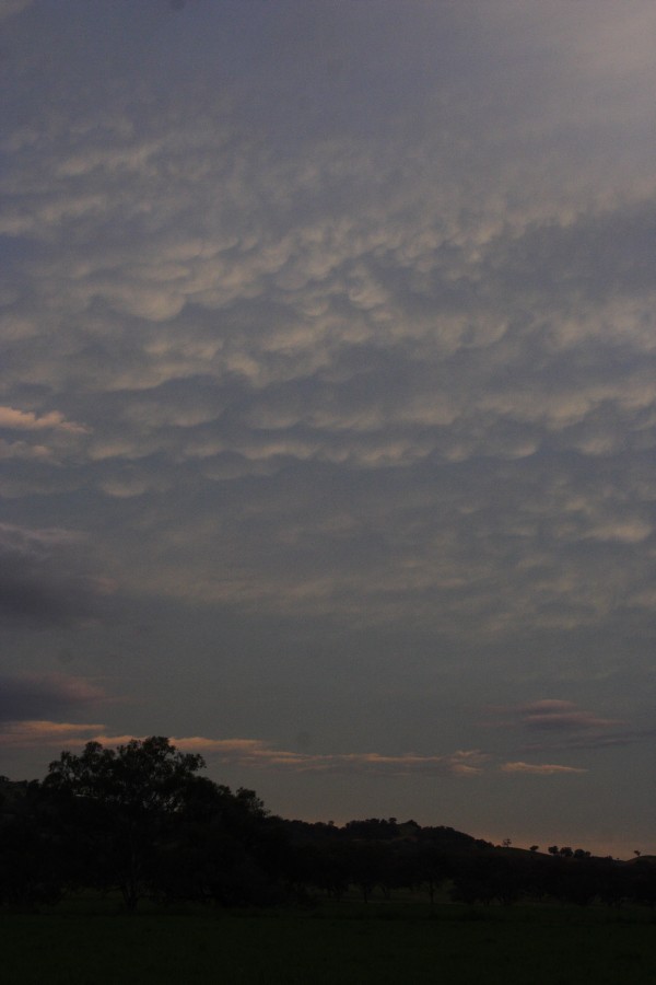 sunset sunset_pictures : near Willow Tree, NSW   14 October 2008