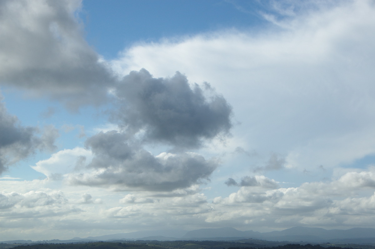 cumulus mediocris : McLeans Ridges, NSW   15 October 2008