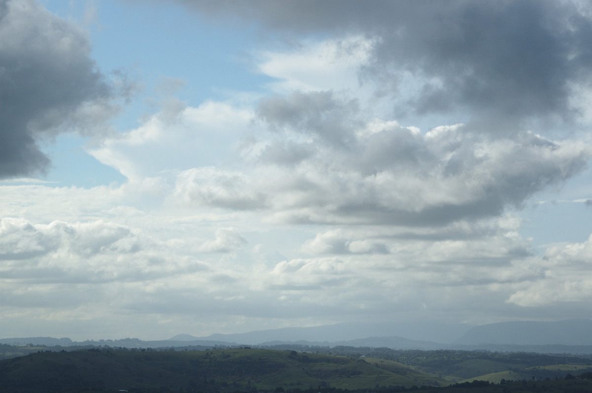 cumulus mediocris : McLeans Ridges, NSW   15 October 2008