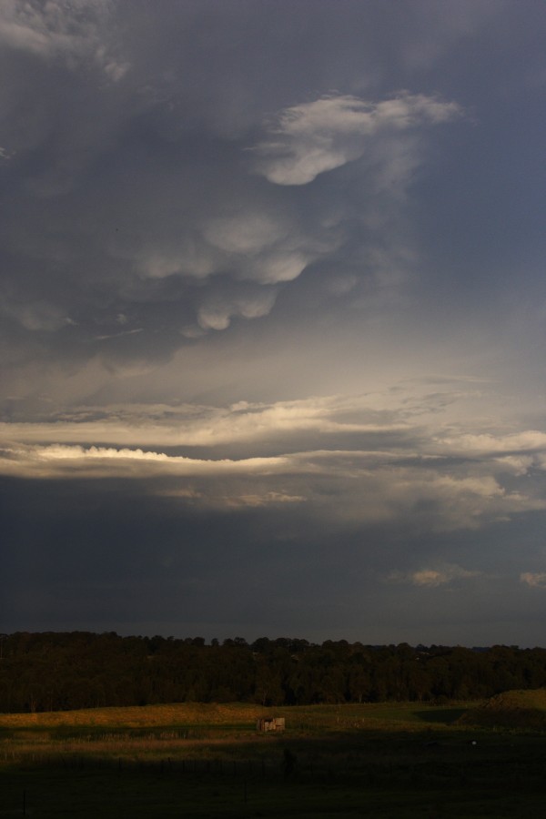 mammatus mammatus_cloud : Schofields, NSW   19 October 2008