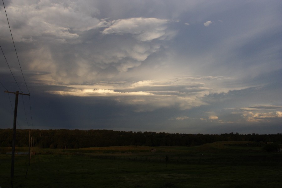 mammatus mammatus_cloud : Schofields, NSW   19 October 2008