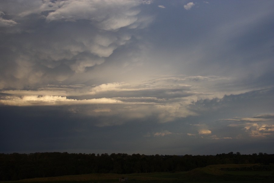 mammatus mammatus_cloud : Schofields, NSW   19 October 2008