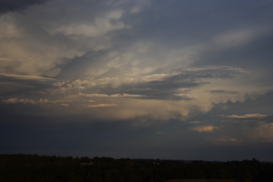 mammatus mammatus_cloud : Schofields, NSW   19 October 2008