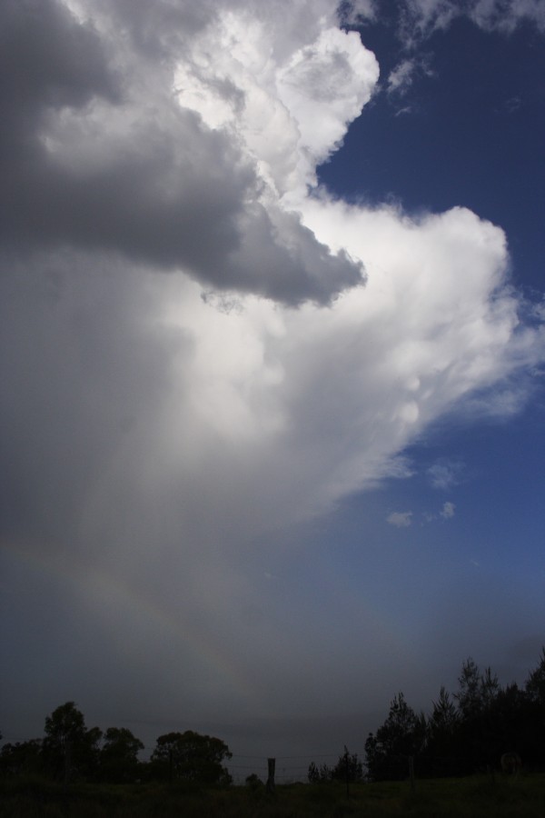 cumulonimbus thunderstorm_base : Kurrajong, NSW   20 October 2008