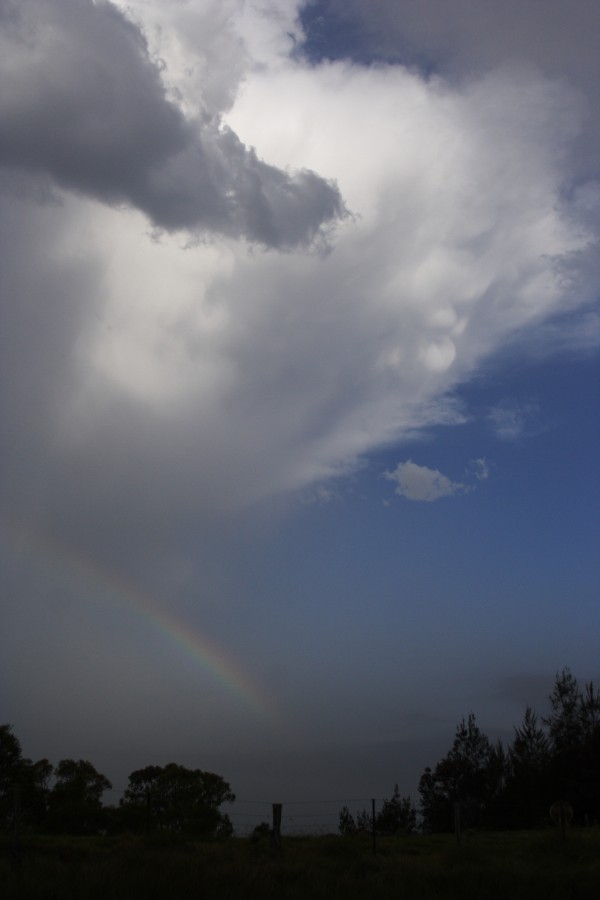 cumulonimbus thunderstorm_base : Kurrajong, NSW   20 October 2008