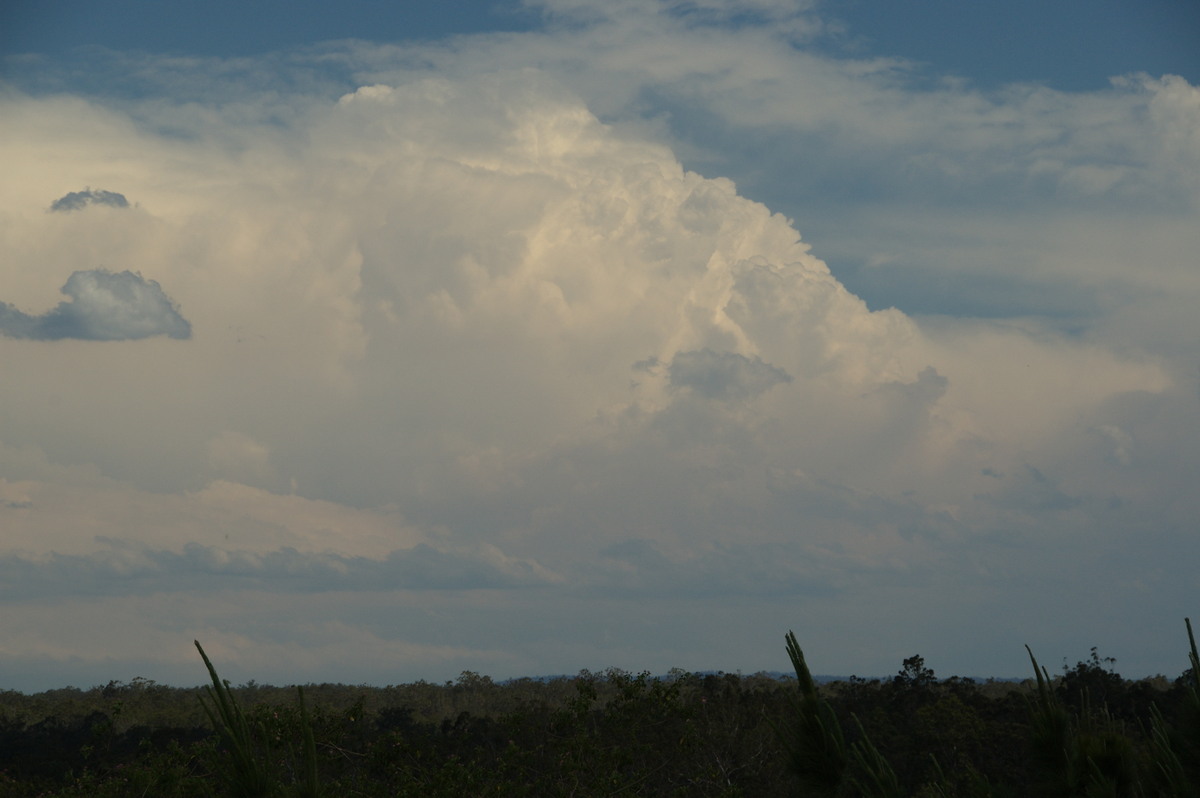 updraft thunderstorm_updrafts : Whiporie, NSW   21 October 2008