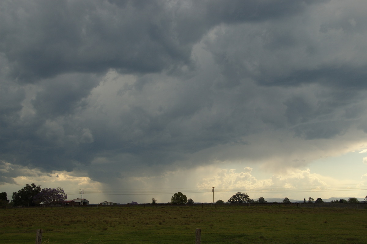 cumulonimbus thunderstorm_base : Junction Hill, NSW   21 October 2008