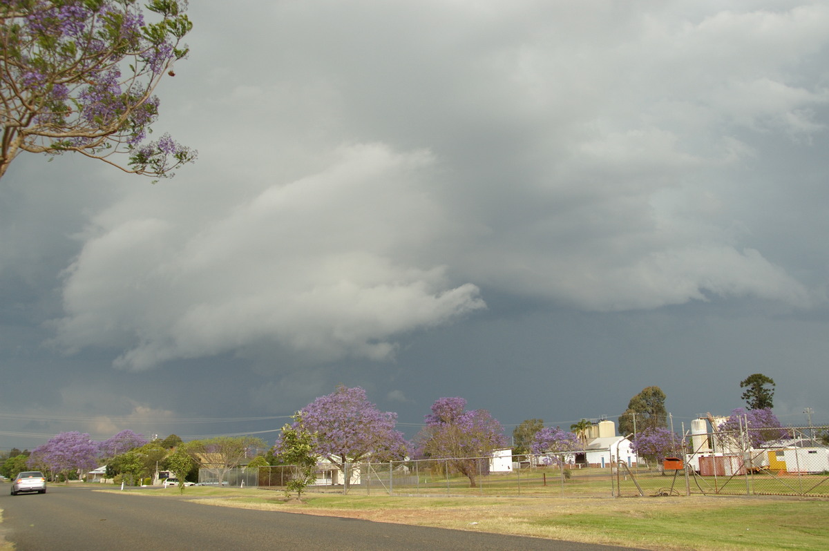 shelfcloud shelf_cloud : Grafton, NSW   21 October 2008