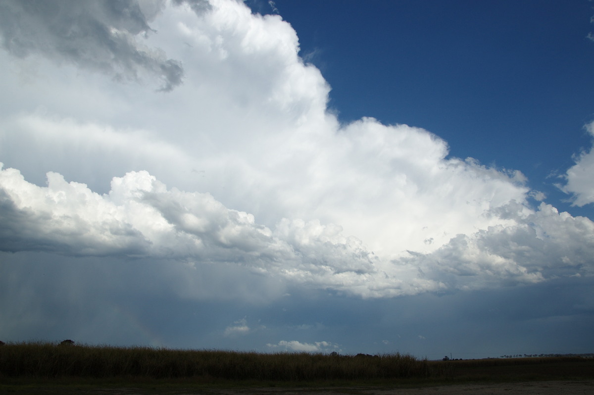 thunderstorm cumulonimbus_incus : Cowper, NSW   21 October 2008