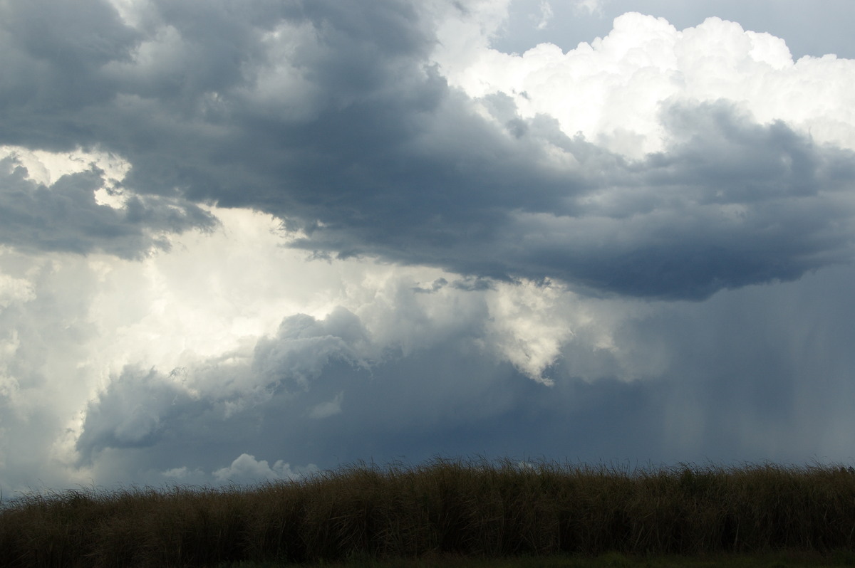 thunderstorm cumulonimbus_incus : Cowper, NSW   21 October 2008