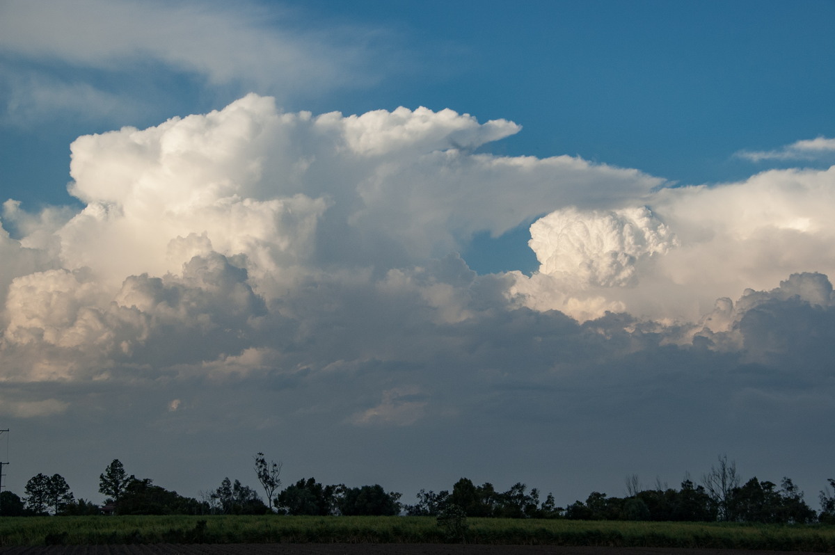 updraft thunderstorm_updrafts : Harwood, NSW   21 October 2008