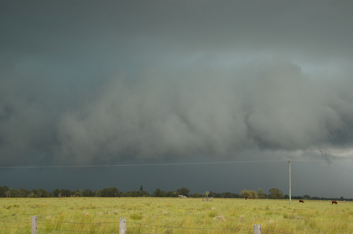 cumulonimbus thunderstorm_base : Clovass, NSW   22 October 2008