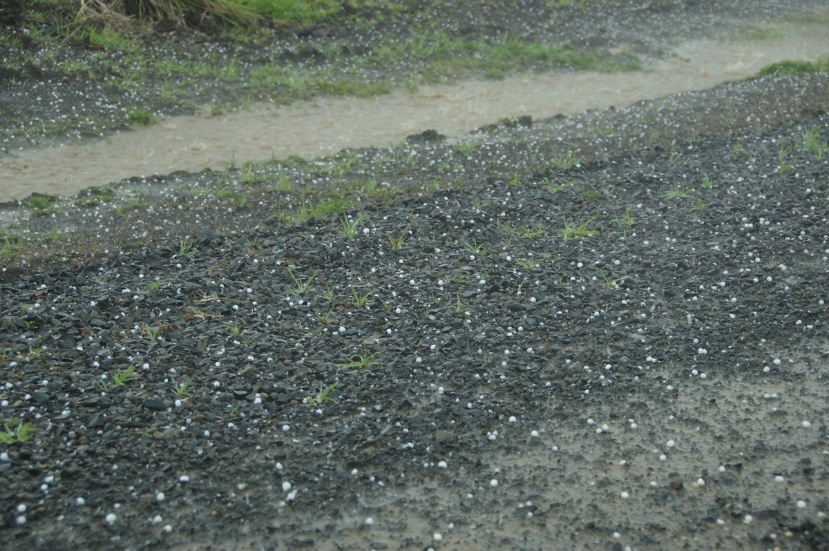 hailstones hail_stones : Clovass, NSW   22 October 2008