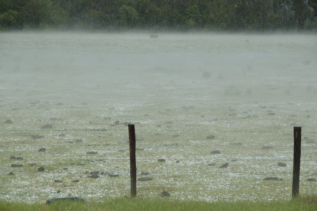 hailstones hail_stones : Clovass, NSW   22 October 2008