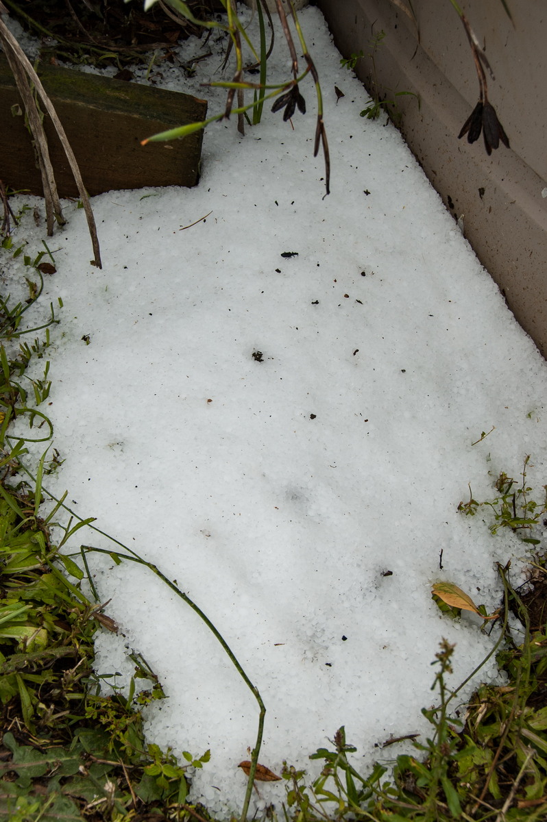 hailstones hail_stones : McLeans Ridges, NSW   22 October 2008