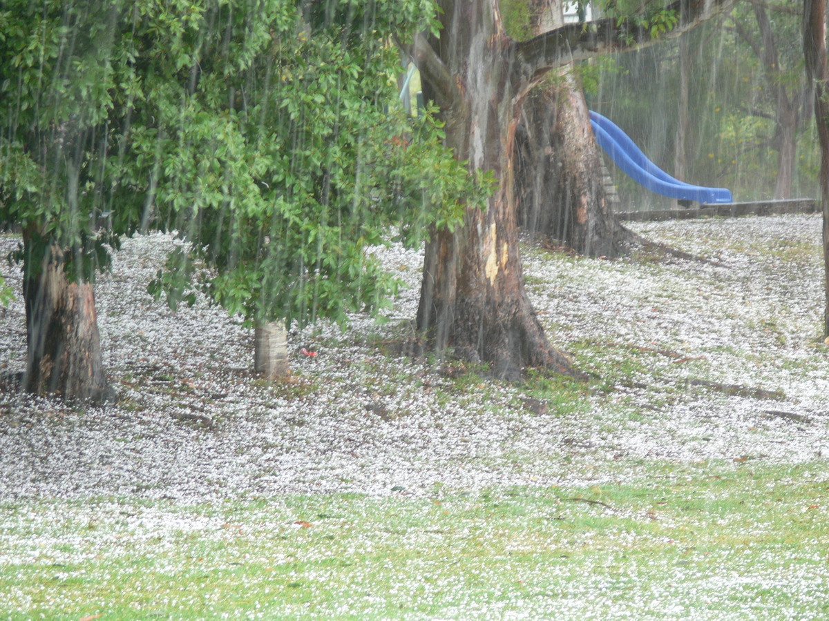 hailstones hail_stones : Lismore, NSW   22 October 2008
