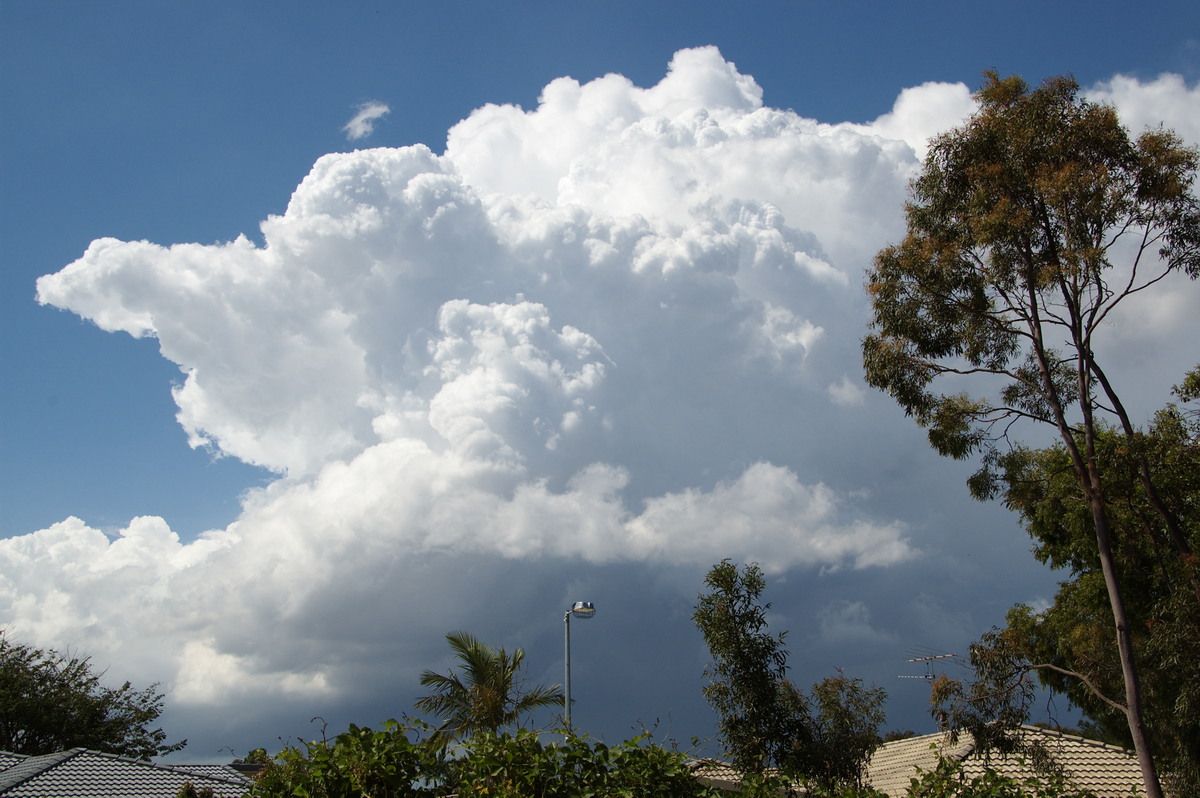 updraft thunderstorm_updrafts : Heritage Park, QLD   25 October 2008