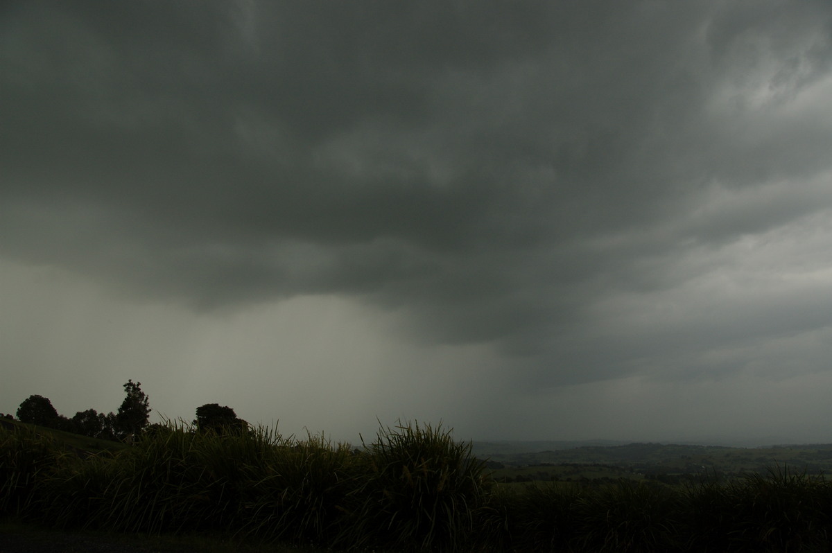 cumulonimbus thunderstorm_base : McLeans Ridges, NSW   8 November 2008